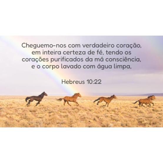 Asseio