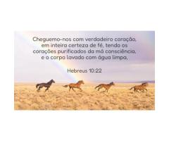 Asseio