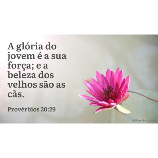 Exercício