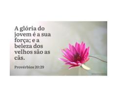 Exercício