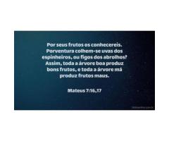 Por seus frutos
