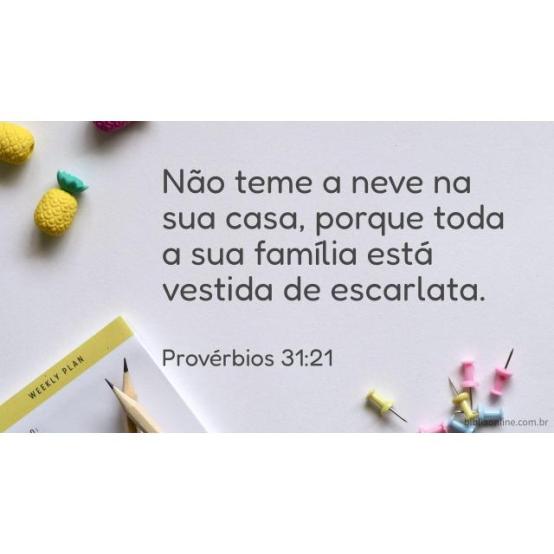 Vestuário apropriado