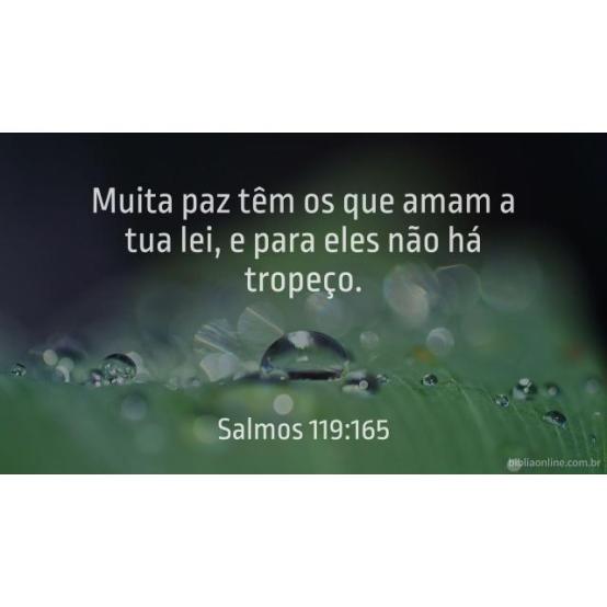 A paz, por fazer o bem