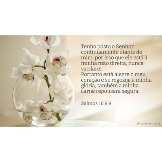 Saúde e felicidade