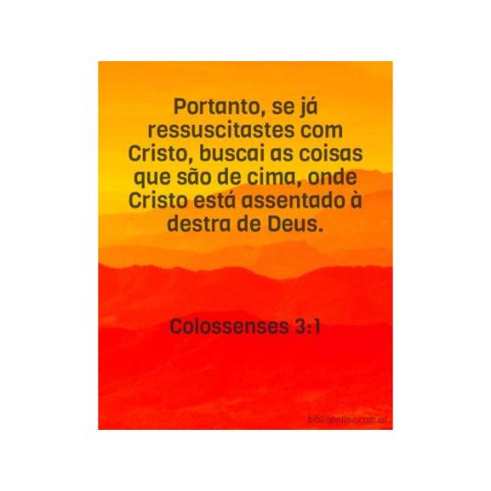 Seguindo seus passos