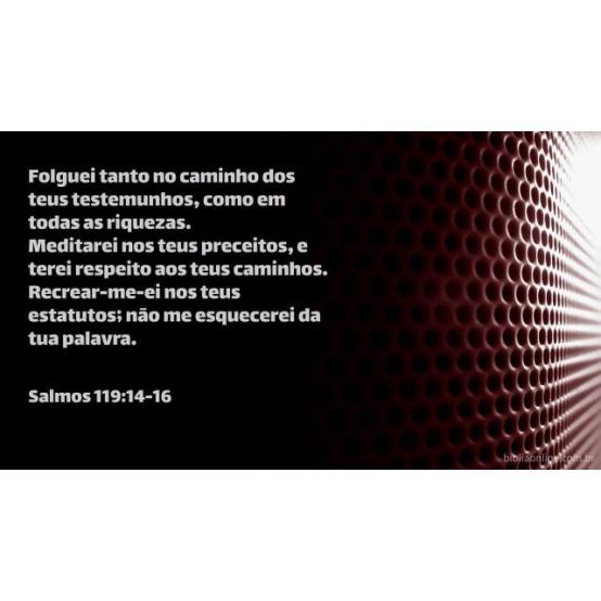 A Bíblia mostra o caminho da felicidade
