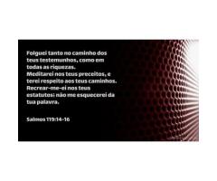 A Bíblia mostra o caminho da felicidade