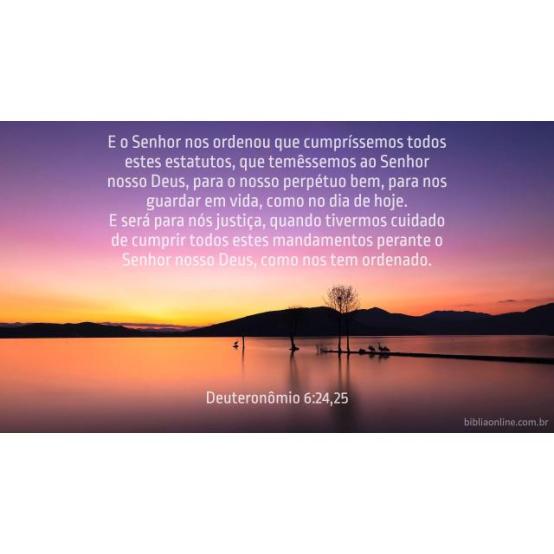 Obediência Obediência