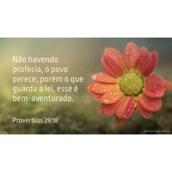 Prazer em fazer a vontade de Deus Prazer em fazer a vontade de Deus