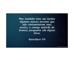 Não contaminados