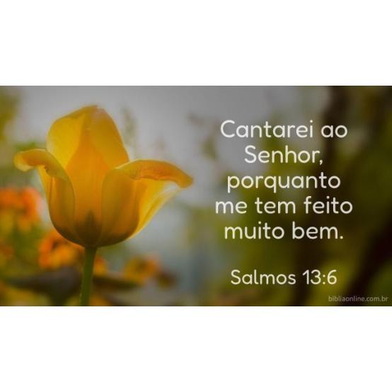 Gratidão