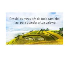 Desenvolvendo bons hábitos
