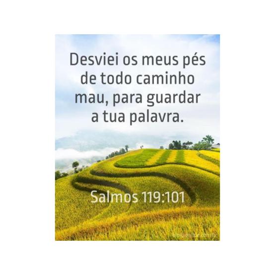 Desenvolvendo bons hábitos