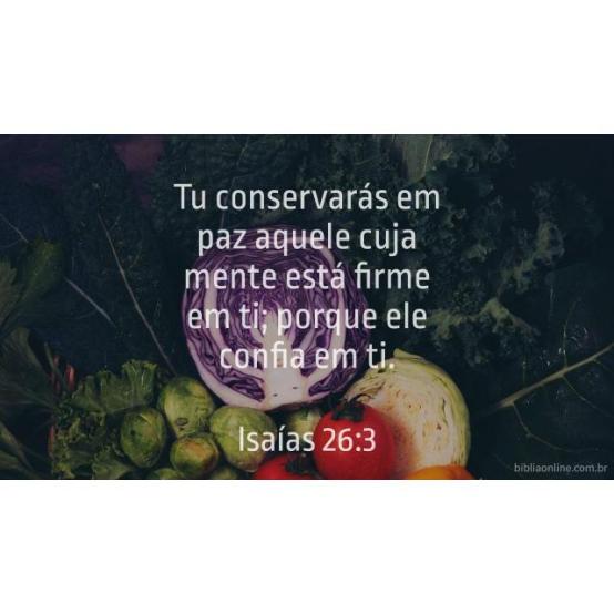 Paz perfeita