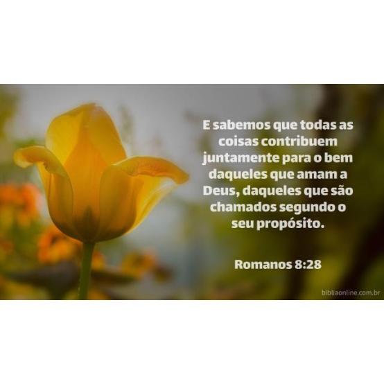 Não duvidar Não duvidar