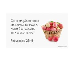 Agradáveis são as palavras acertadas