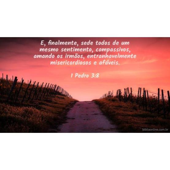 Consideração para com os outros Consideração para com os outros