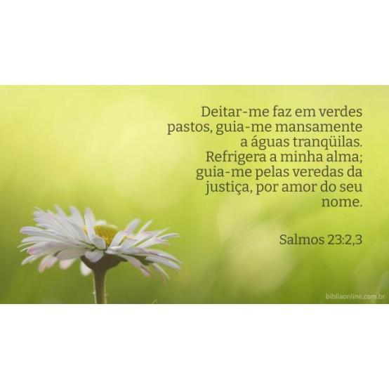 Deus guia por caminhos aprazíveis