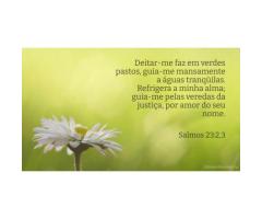 Deus guia por caminhos aprazíveis