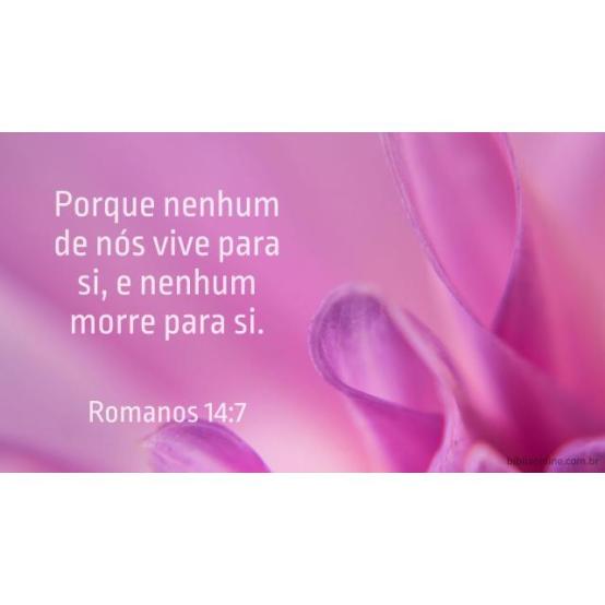 Ninguém vive para si Ninguém vive para si