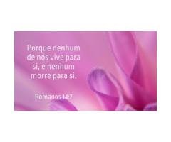 Ninguém vive para si