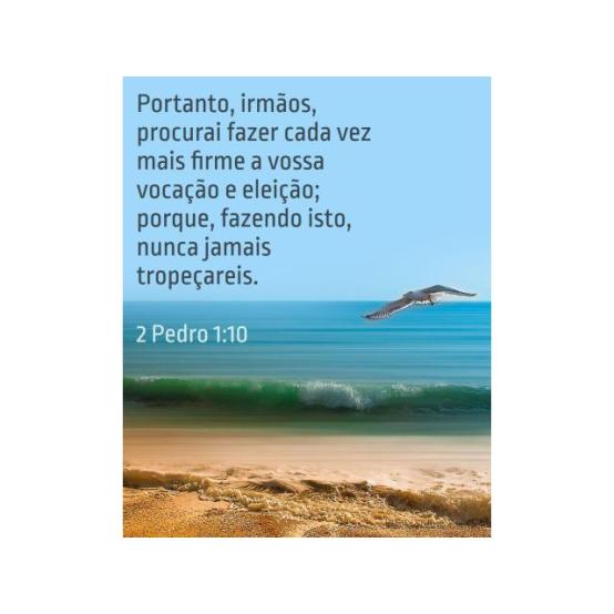 Uma apólice de seguro de vida Uma apólice de seguro de vida