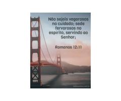 A cura da ociosidade